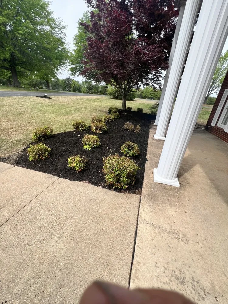 Local yard cleanup service in Mountain Home, AR by Taylor’s Lawn Care