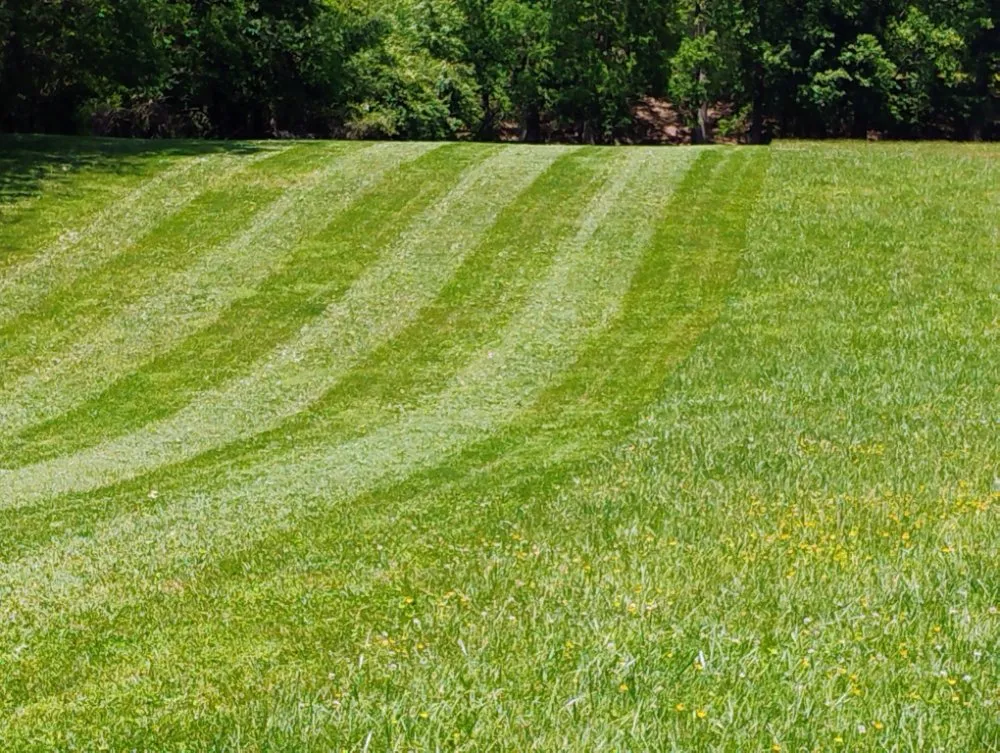 Professional yard cleanup service with custom design in Rocky Gap, VA by Taylor's Lawn Care