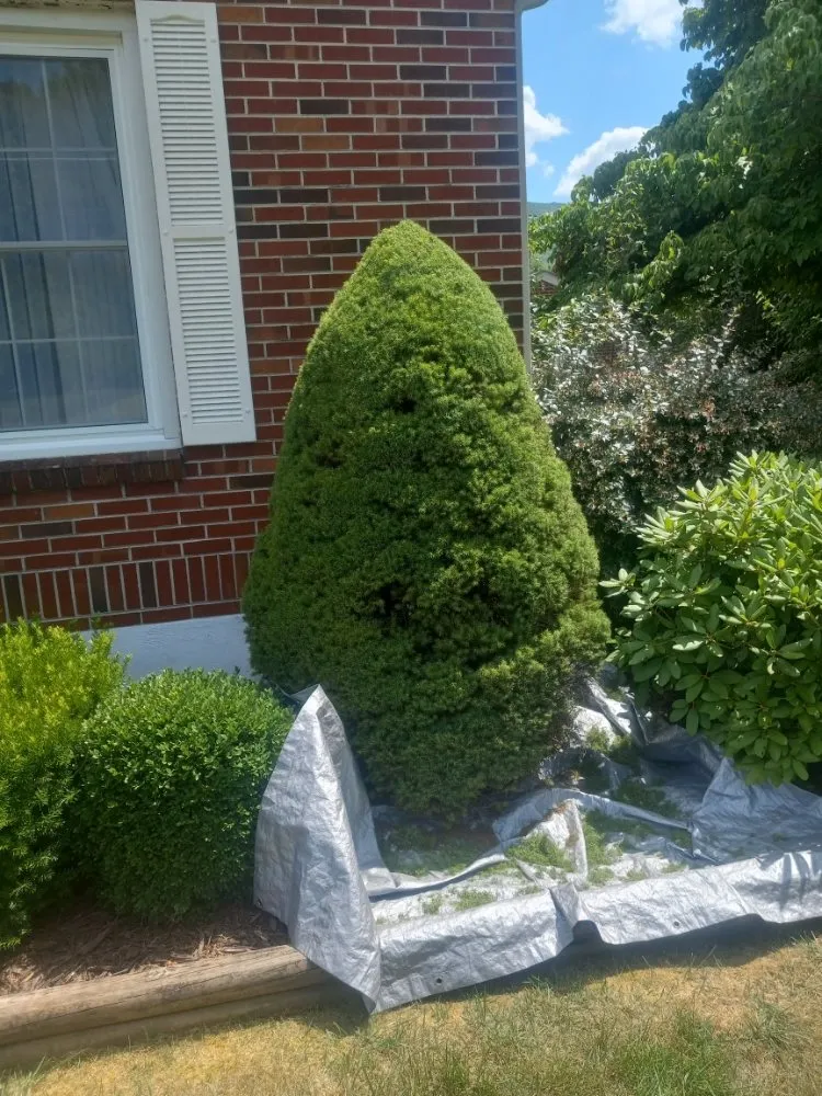Reliable landscape design for residential properties in Rocky Gap, VA by Taylor's Lawn Care