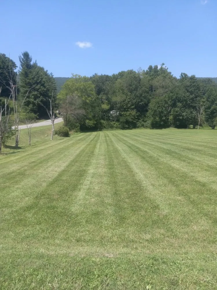 Professional lawn care service for residential properties across Rocky Gap, VA - Taylor's Lawn Care