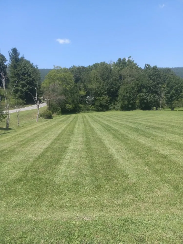 Top-rated lawn care service in Rocky Gap, VA - Taylor's Lawn Care