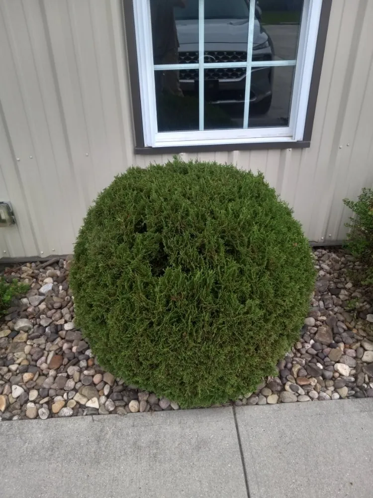 Trusted lawn care service in Rocky Gap, VA by Taylor's Lawn Care