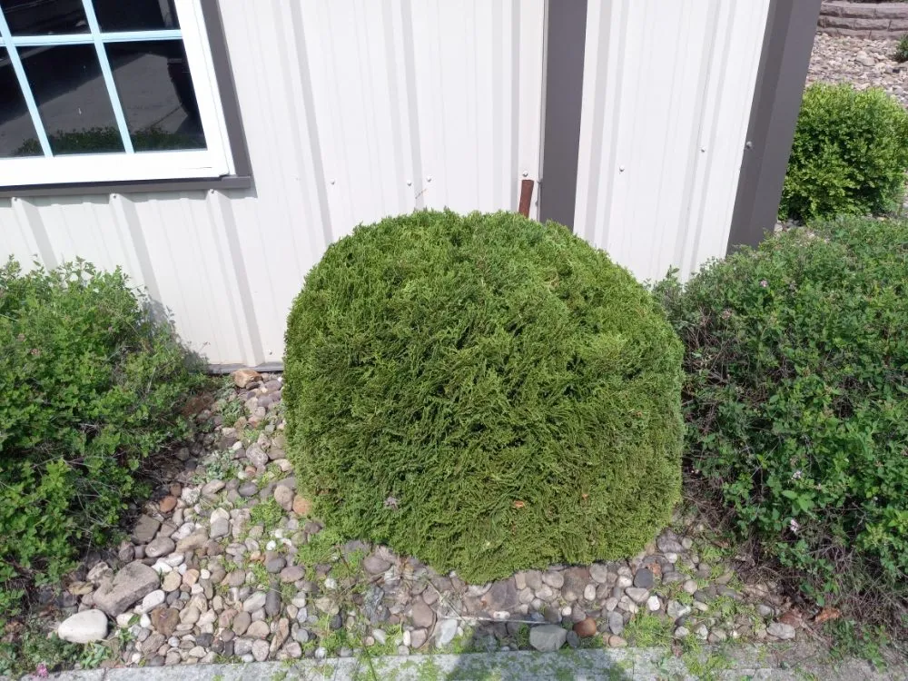 Affordable lawn care service in Rocky Gap, VA by Taylor's Lawn Care
