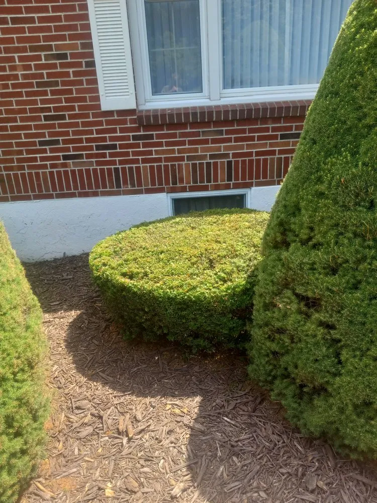 Professional outdoor landscaping experts serving Rocky Gap, VA - Taylor's Lawn Care