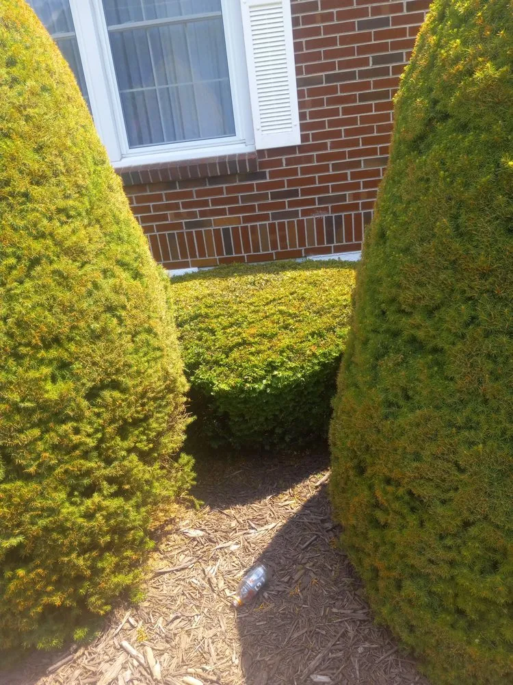Professional garden landscaping near you in Rocky Gap, VA by Taylor's Lawn Care