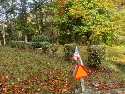 Taylor's Lawn Care