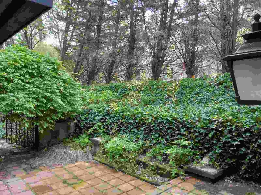 Reliable garden landscaping for beautiful yards across Stone Mountain, GA - Taylor’s Lawn Care