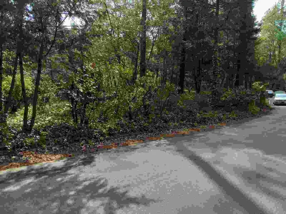 Trusted landscaping services in Stone Mountain, GA by Taylor’s Lawn Care