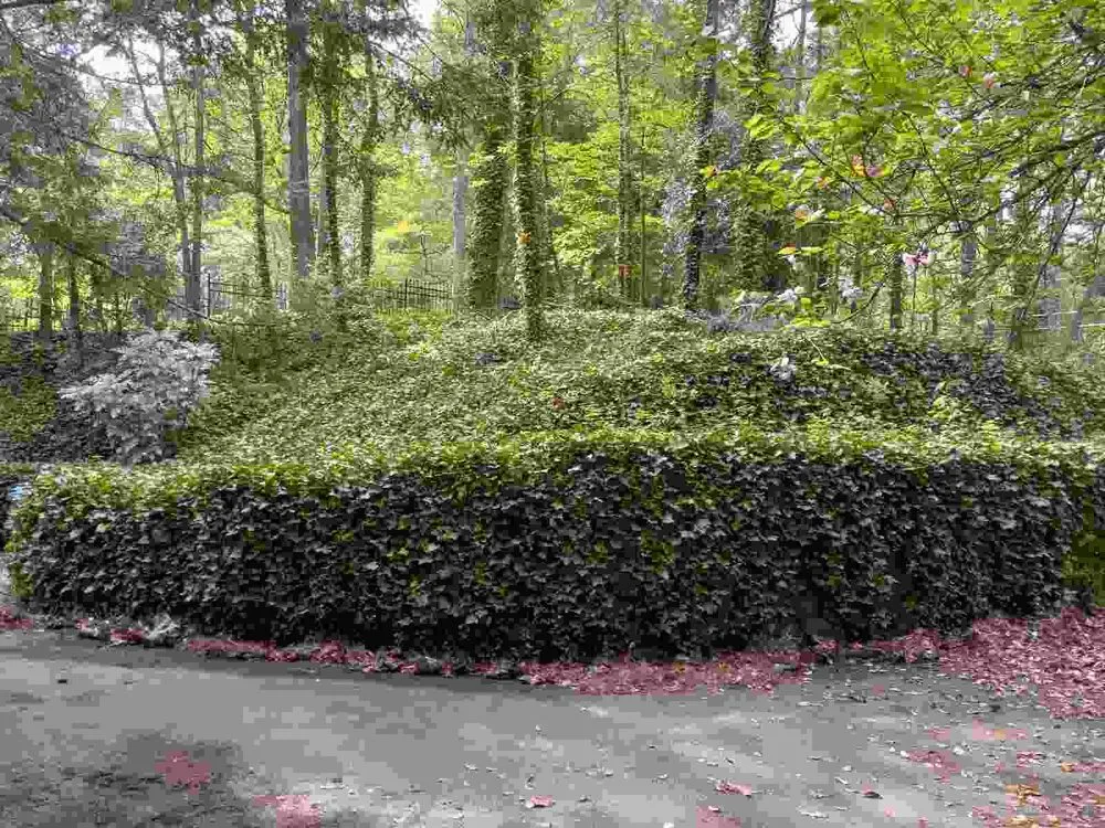 Expert landscaping services in Stone Mountain, GA by Taylor’s Lawn Care