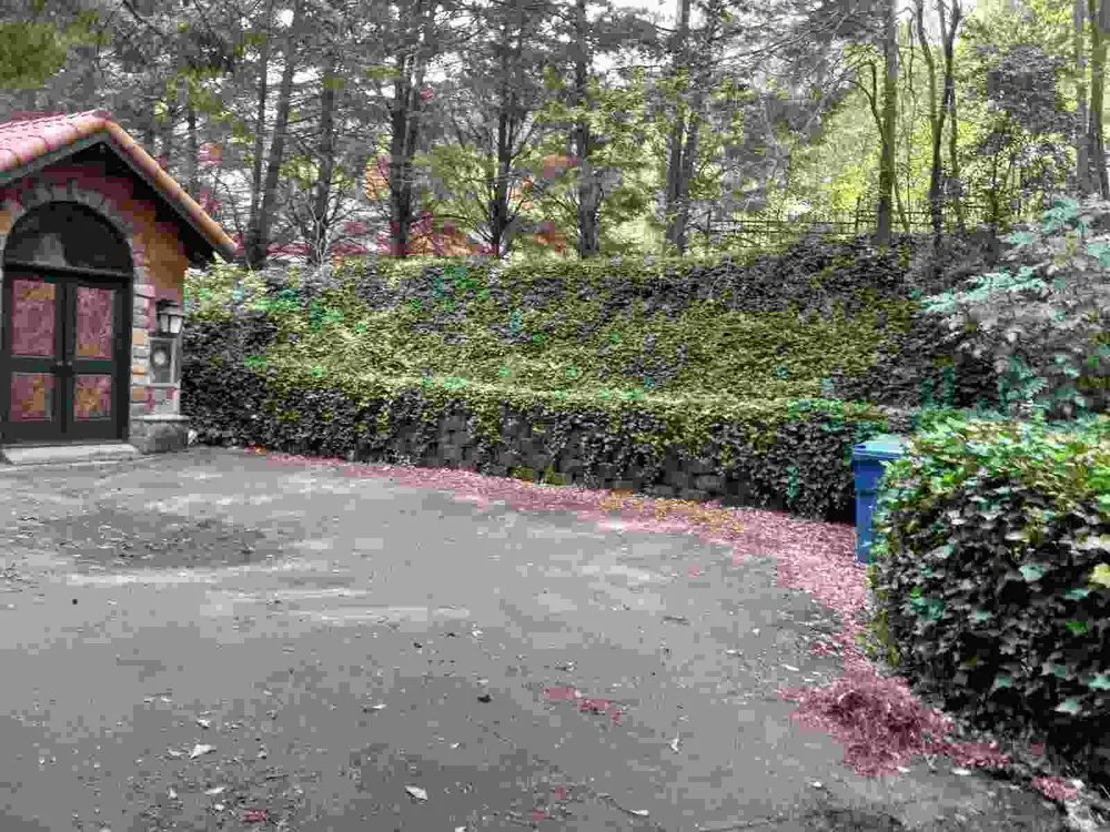 Top-rated garden landscaping experts serving Stone Mountain, GA - Taylor’s Lawn Care