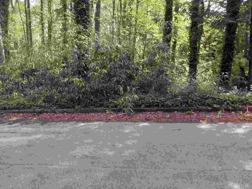 Reliable yard maintenance experts serving Stone Mountain, GA - Taylor’s Lawn Care