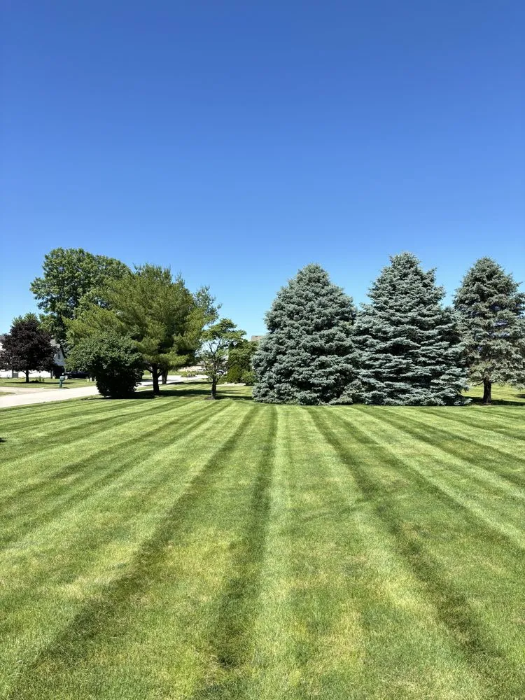 Local yard cleanup service for homes in Danville, IN by Taylor’s Lawn Maintenance