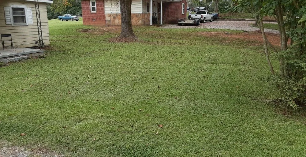 Top-rated residential landscaping experts serving Henderson, TN - Taylor's Lawncare