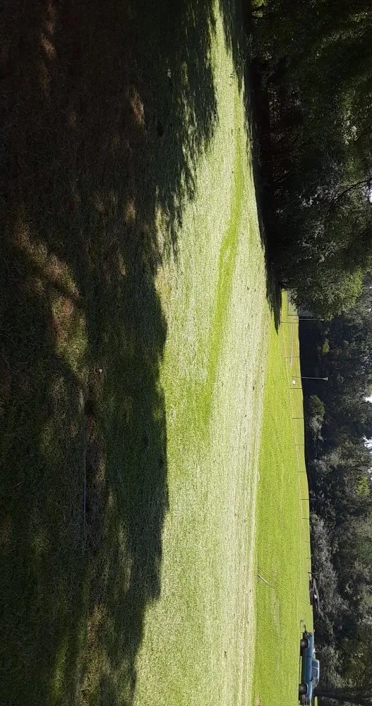 Expert landscape design near you in Henderson, TN by Taylor's Lawncare