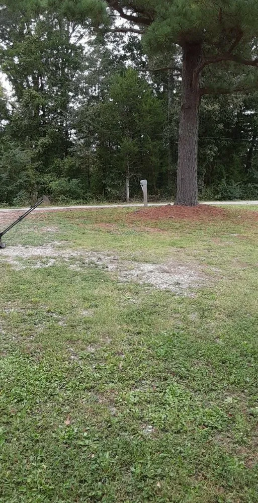 Affordable yard maintenance experts serving Henderson, TN - Taylor's Lawncare