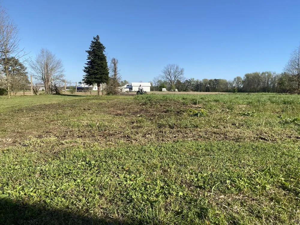 Affordable lawn mowing service near you across Mount Olive, NC - Taylor’s Pressure Washing & Landscaping