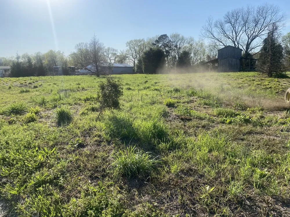 Custom yard maintenance in Mount Olive, NC by Taylor’s Pressure Washing & Landscaping