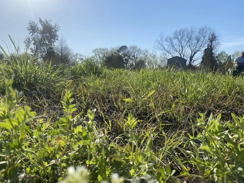 Top-rated lawn mowing service in Mount Olive, NC - Taylor’s Pressure Washing & Landscaping