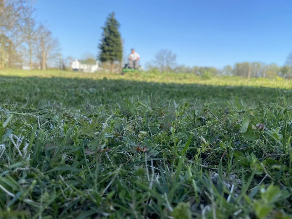 Trusted lawn mowing service with custom design in Mount Olive, NC by Taylor’s Pressure Washing & Landscaping