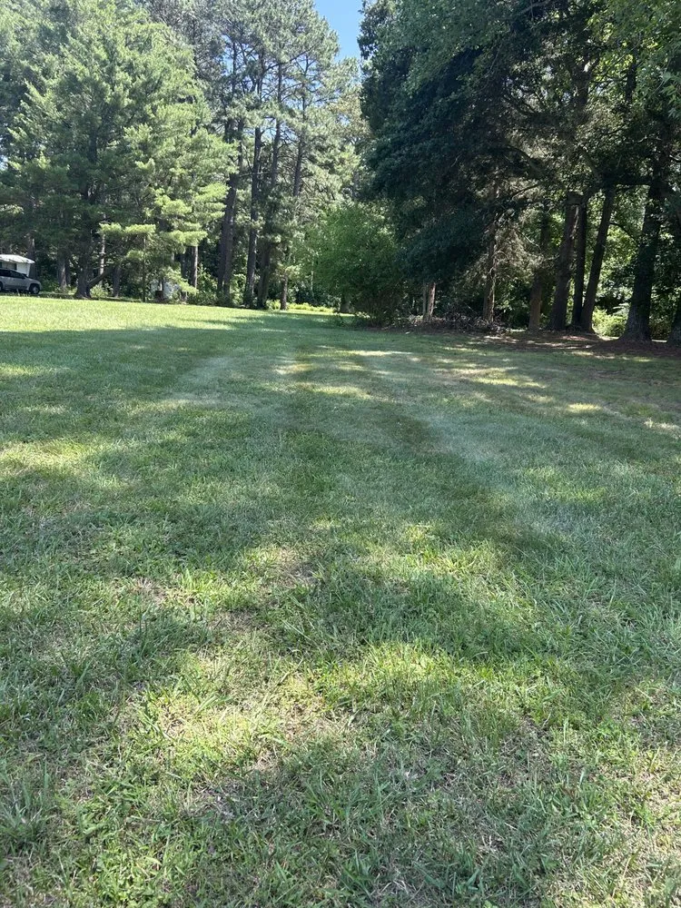 Top-rated yard cleanup service in Greenwood, DE by Taylors Property Maintenance