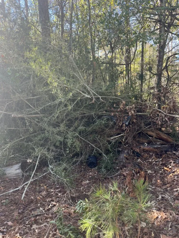 Custom yard cleanup service in Bay county, GA by Taylors Soil Systems