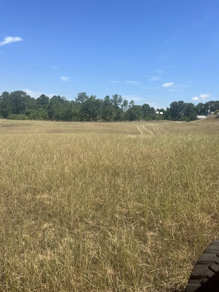 Expert outdoor landscaping experts serving Bay county, GA - Taylors Soil Systems
