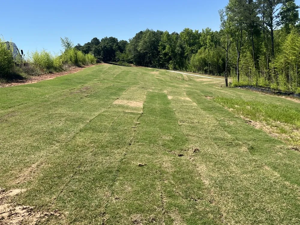Expert yard cleanup service for year-round maintenance in Bay county, GA by Taylors Soil Systems