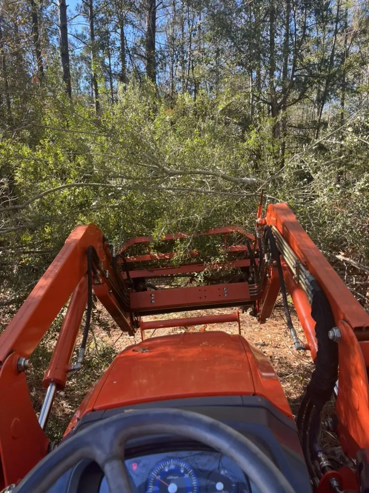 Professional yard maintenance experts serving Bay county, GA - Taylors Soil Systems