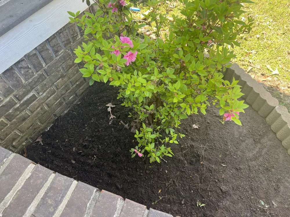 Affordable lawn care service near you across Farragut, TN - Taylors Soils United