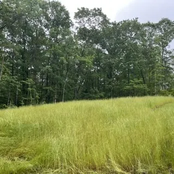 Top-rated garden landscaping in Farragut, TN by Taylors Soils United