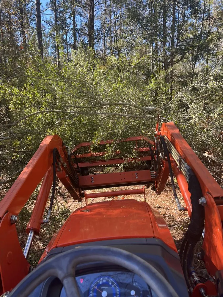 Top-rated landscape installation for outdoor upgrades across Farragut, TN - Taylors Soils United