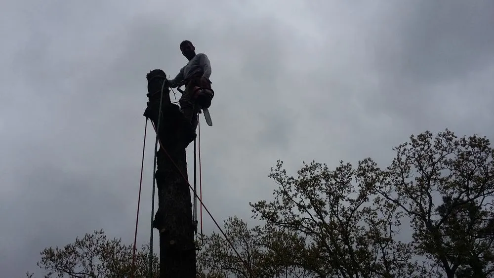 Trusted garden landscaping for residential properties in Hot Springs, AR by Taylor's Tender Care