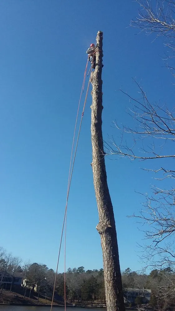 Professional lawn care service for year-round maintenance across Hot Springs, AR - Taylor's Tender Care