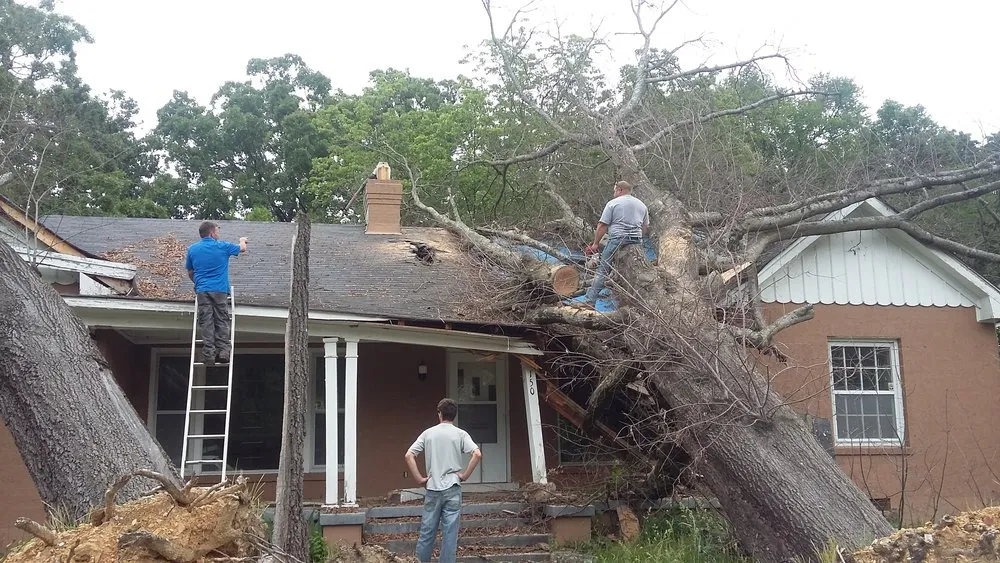 Professional residential landscaping for beautiful yards across Hot Springs, AR - Taylor's Tender Care