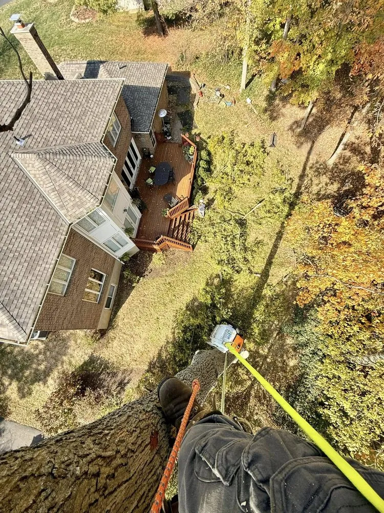 Professional lawn mowing service near you across Cincinnati, OH - Taylor's Tree & Landscaping