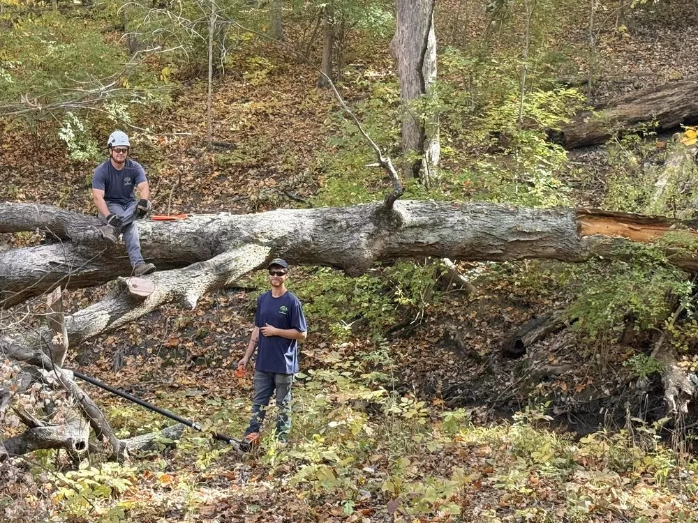 Affordable lawn mowing service in Cincinnati, OH - Taylor's Tree & Landscaping