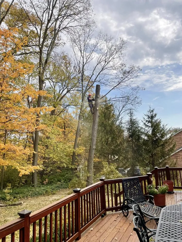 Trusted residential landscaping in Cincinnati, OH - Taylor's Tree & Landscaping