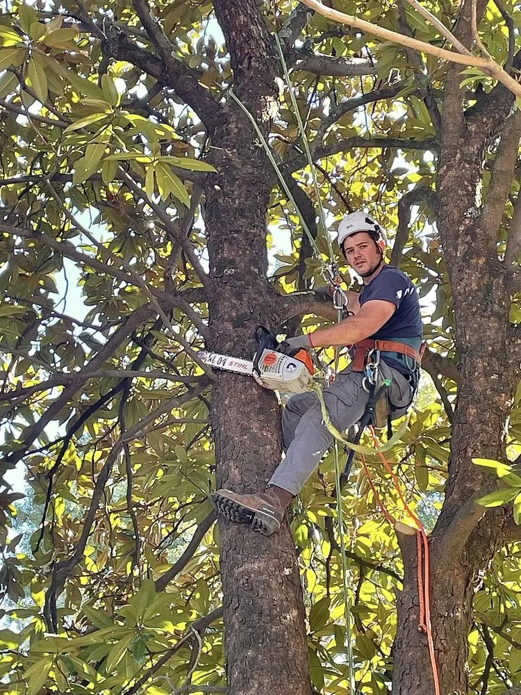 Custom landscaping services experts serving Cincinnati, OH - Taylor's Tree & Landscaping