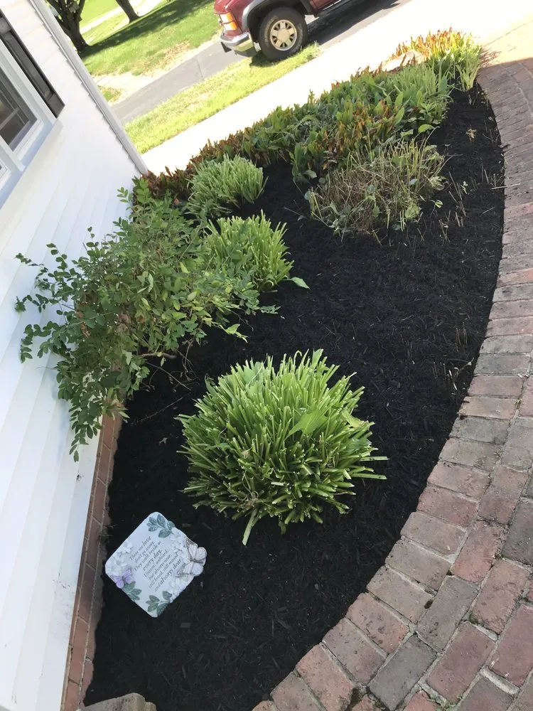 Top-rated yard maintenance in Wooster, OH - Taylor’s Tree And Outdoor Services