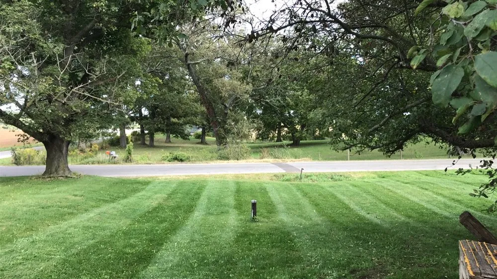 Professional yard cleanup service for year-round maintenance across Wooster, OH - Taylor’s Tree And Outdoor Services