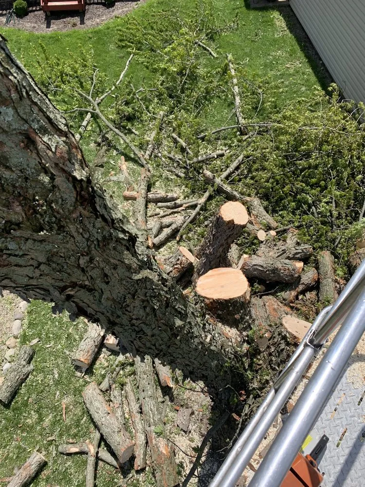 Professional residential landscaping for beautiful yards in Wooster, OH by Taylor’s Tree And Outdoor Services