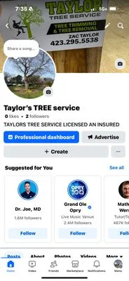 Taylor’s Tree Service