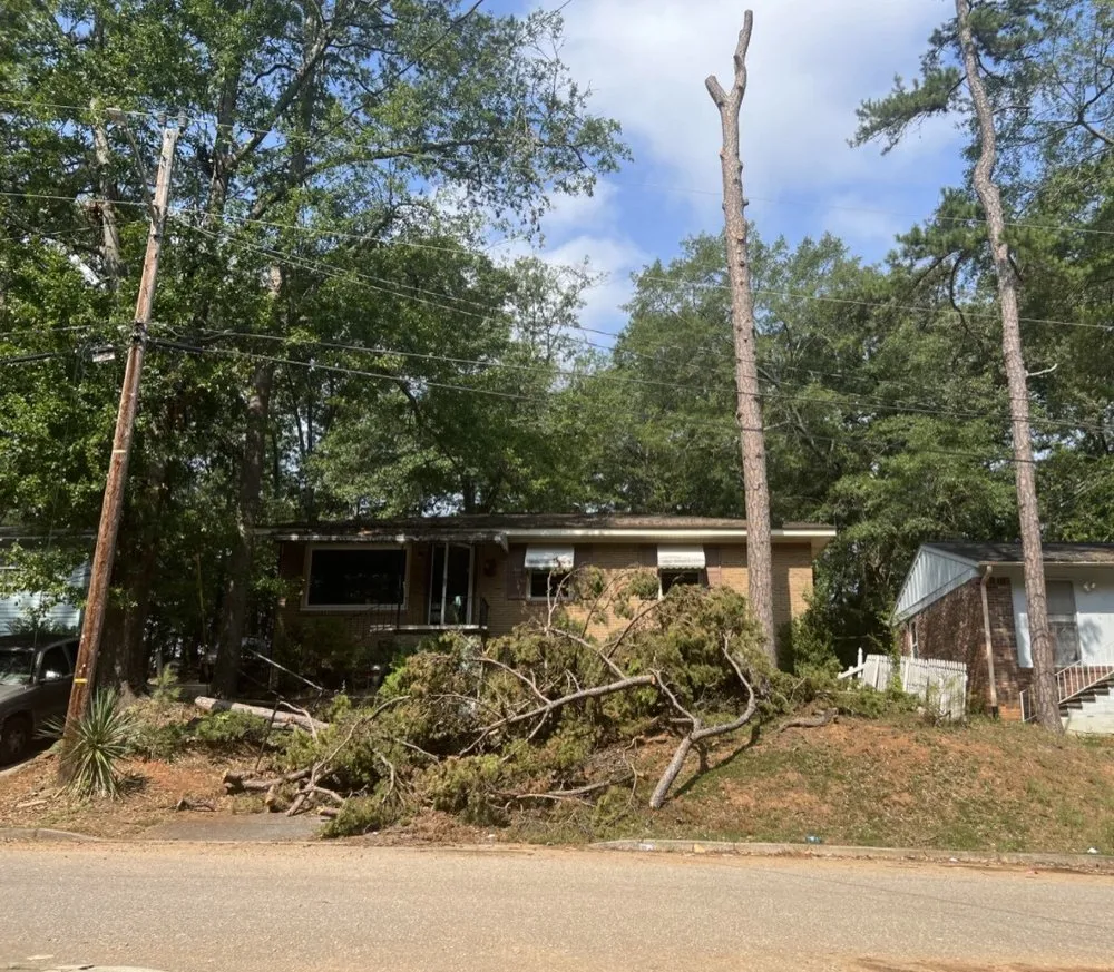 Trusted yard cleanup service in Union, SC - Taylor's Treescapes