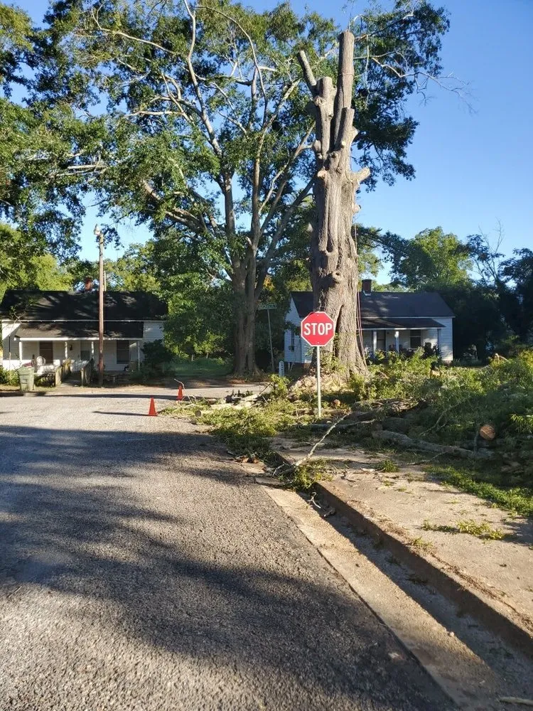 Affordable outdoor landscaping for residential properties across Union, SC - Taylor's Treescapes