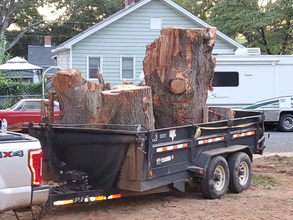 Top-rated landscape installation with custom design in Union, SC by Taylor's Treescapes