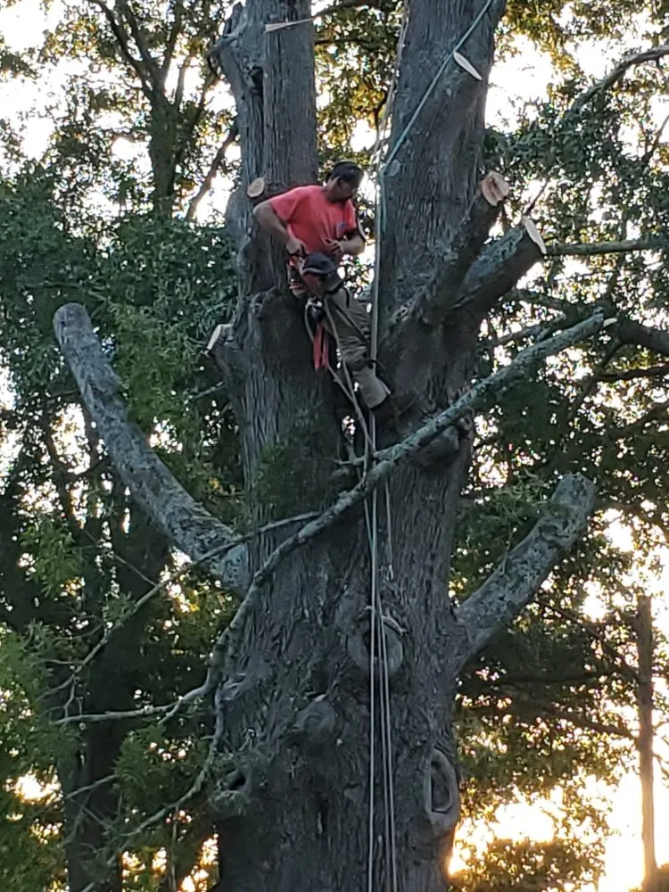 Local garden landscaping for homes in Union, SC by Taylor's Treescapes