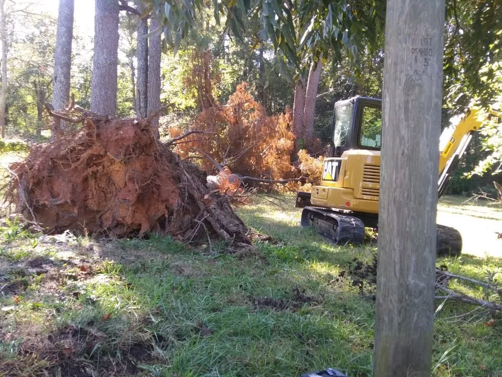 Custom landscape design in Union, SC - Taylor's Treescapes