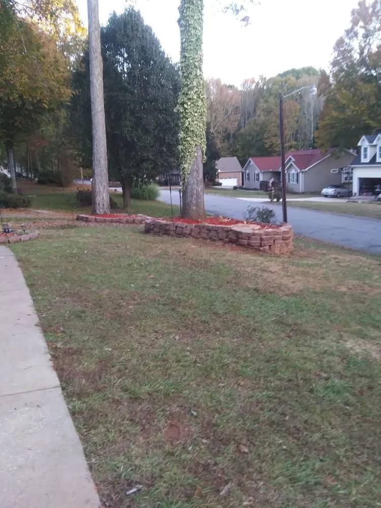 Custom yard maintenance for year-round maintenance across Union, SC - Taylor's Treescapes