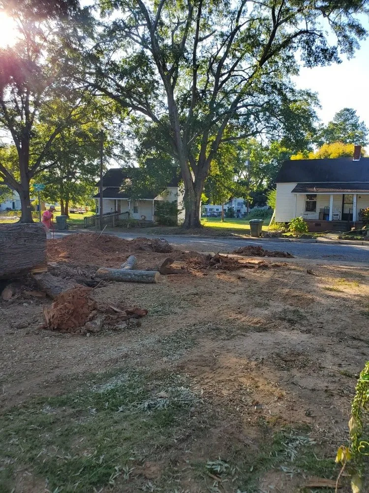 Trusted yard cleanup service in Union, SC - Taylor's Treescapes