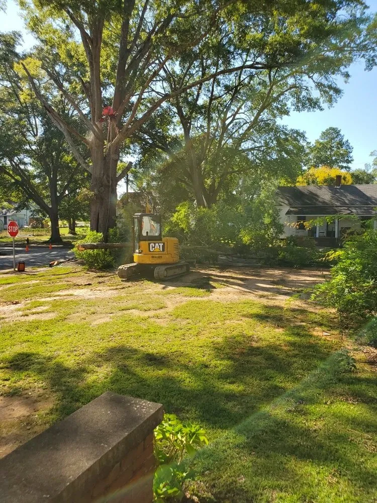 Affordable landscaping services experts serving Union, SC - Taylor's Treescapes